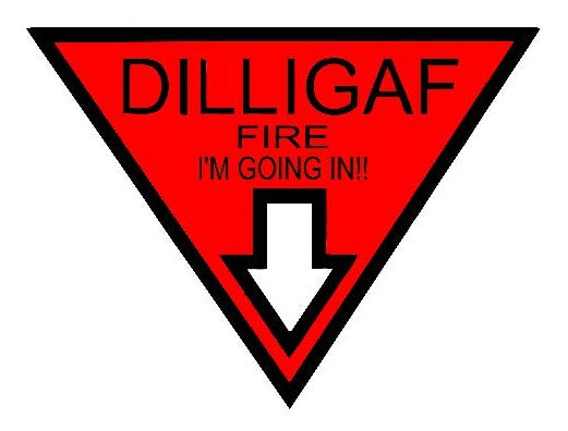Dilligaf Fire Im Going In Reflective Helmet Decal