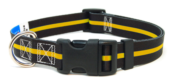 Thin Gold Line Pet Collar